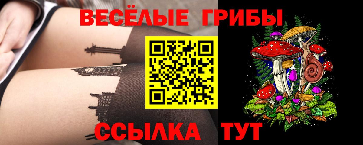 Галлюциногенные грибы ЛСД Ессентуки