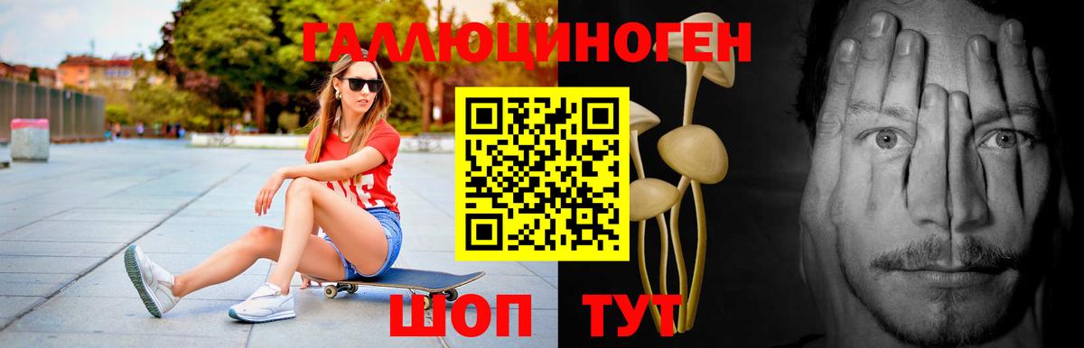 Ессентуки  Псилоцибиновые грибы Cubensis  Псилоцибиновые грибы Magic Shrooms  Вход с VPN 